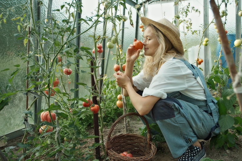 kobieta wącha pomidora